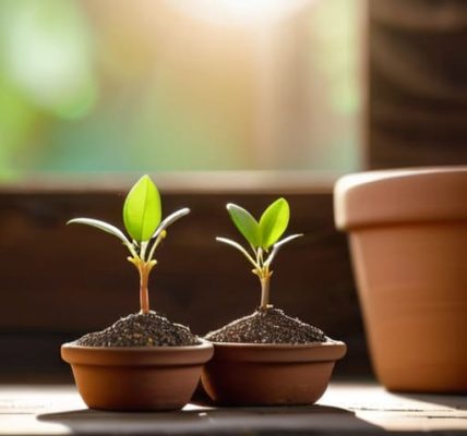 How to compare two savings accounts properly.