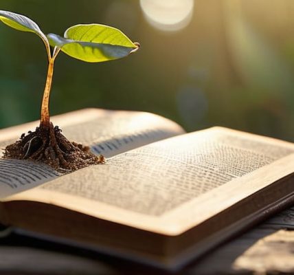 How to stop re-reading the same advice.